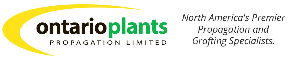 Ontario Plants Propagation Ltd